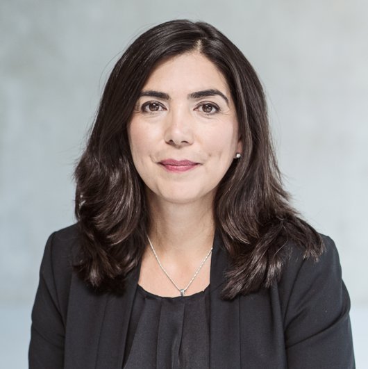 Aygül Özkan - Foto: Dennis Williamson Aygül Özkan - Foto: Dennis Williamson